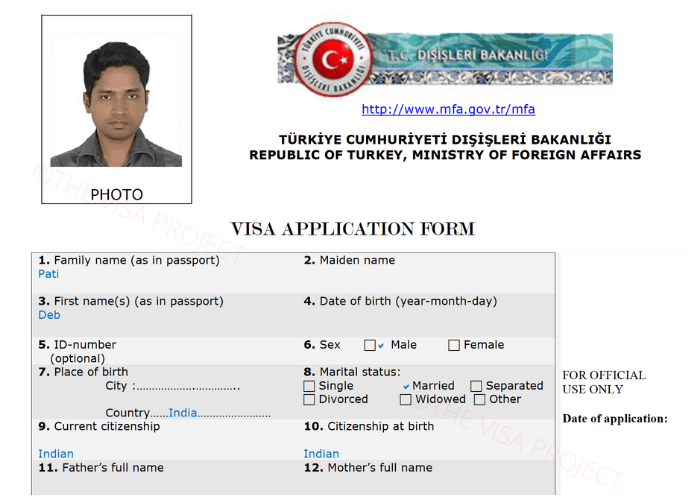 turkey passport photo size