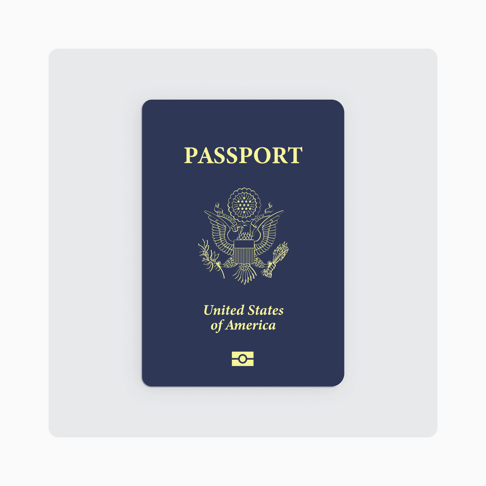 type p on passport