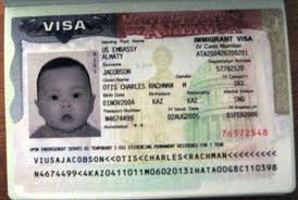 u.s. visa number on passport