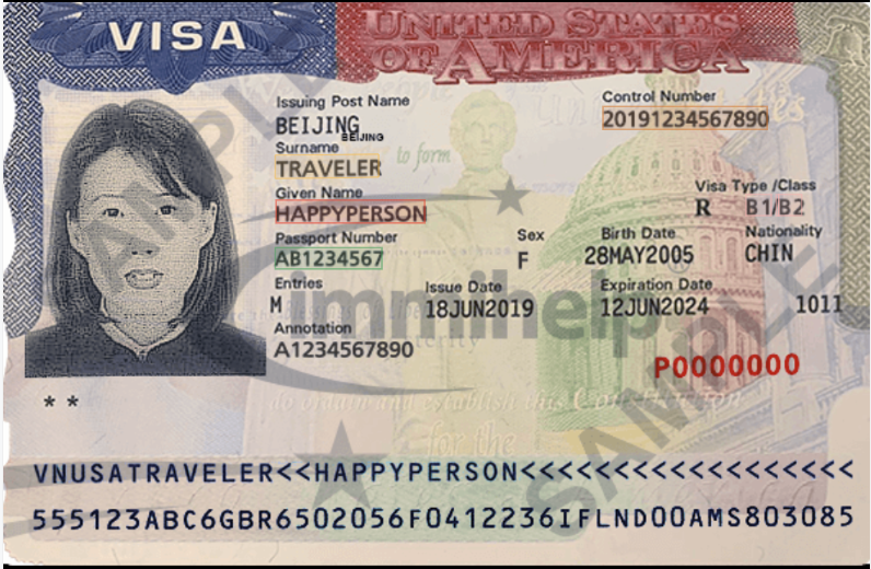 u.s. visa number on passport