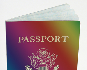 united states passport colors