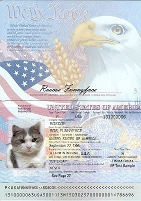 united states passport sample