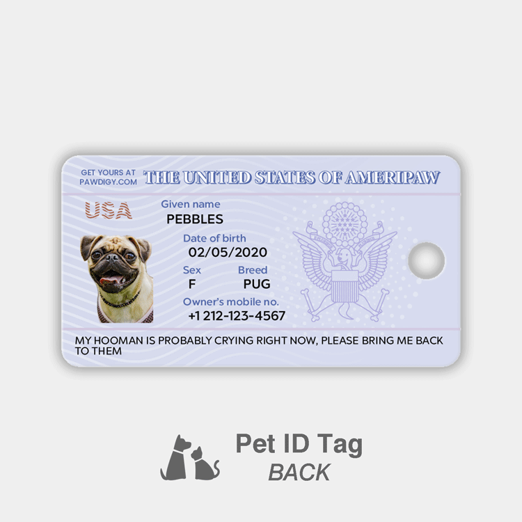 us dog passport