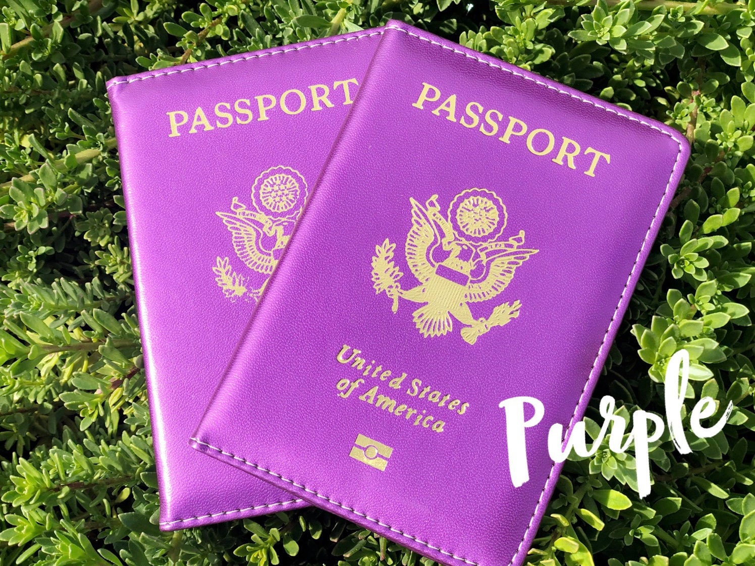 us purple passport