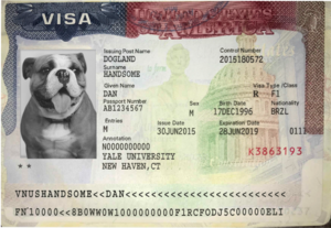 us visa number in passport