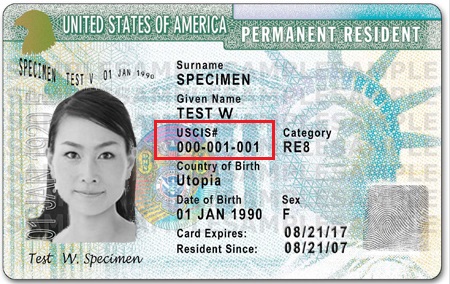 uscis number on passport