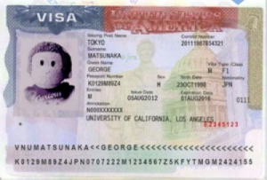 valid visa in expired passport