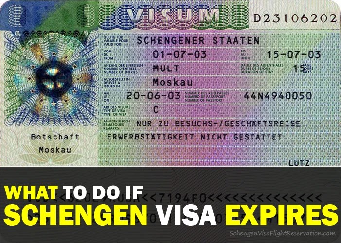 valid visa on expired passport