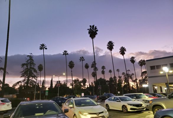 van nuys mega passport office