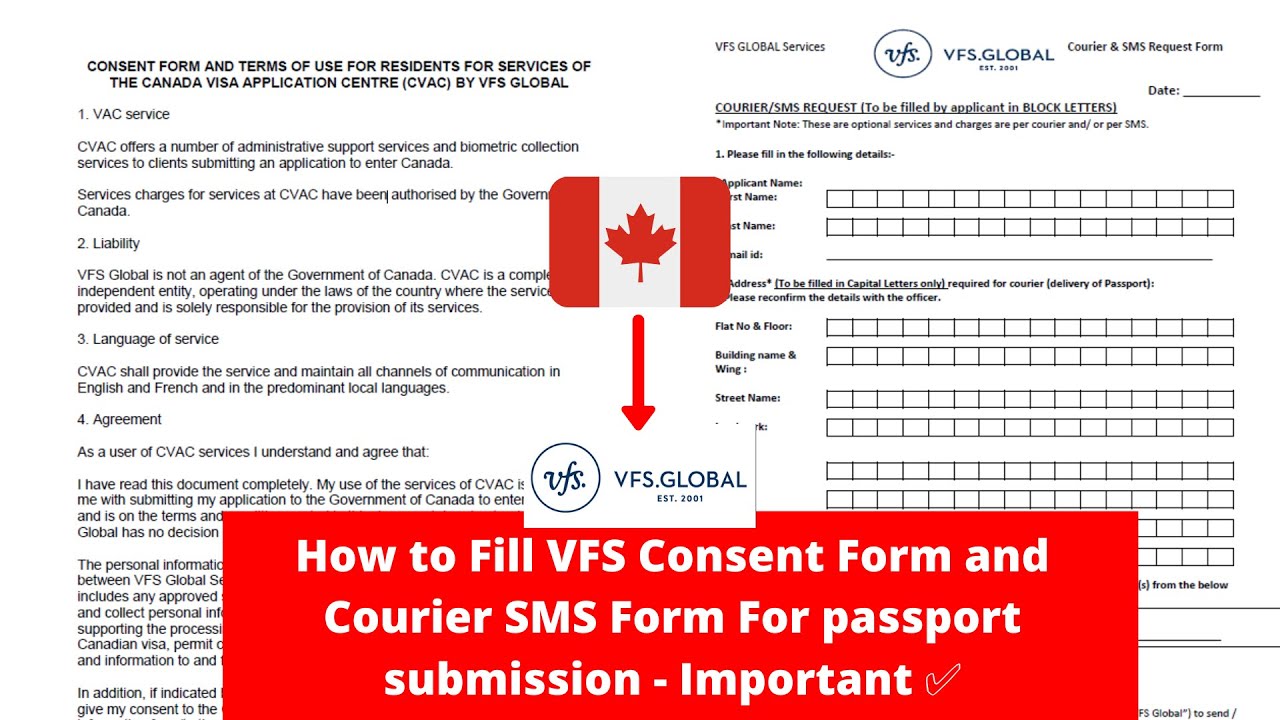 vfs passport submission