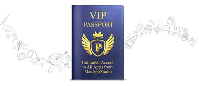 vip passport services houston