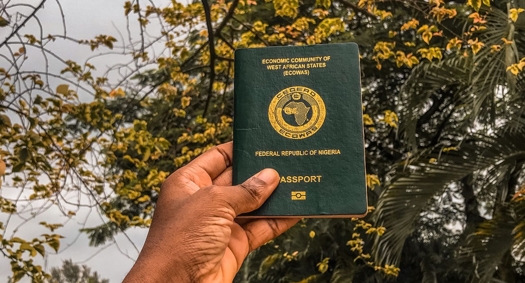 visa free countries to nigerian passport