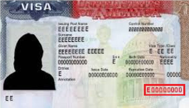 visa number on passport for us visa