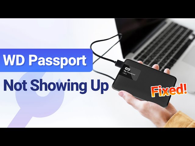 wd passport drive not showing up