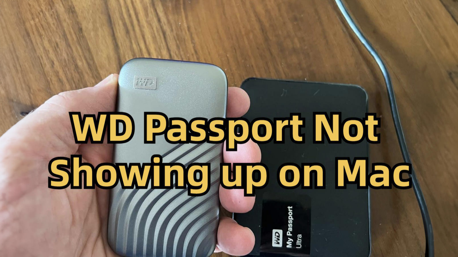 wd passport not showing up mac