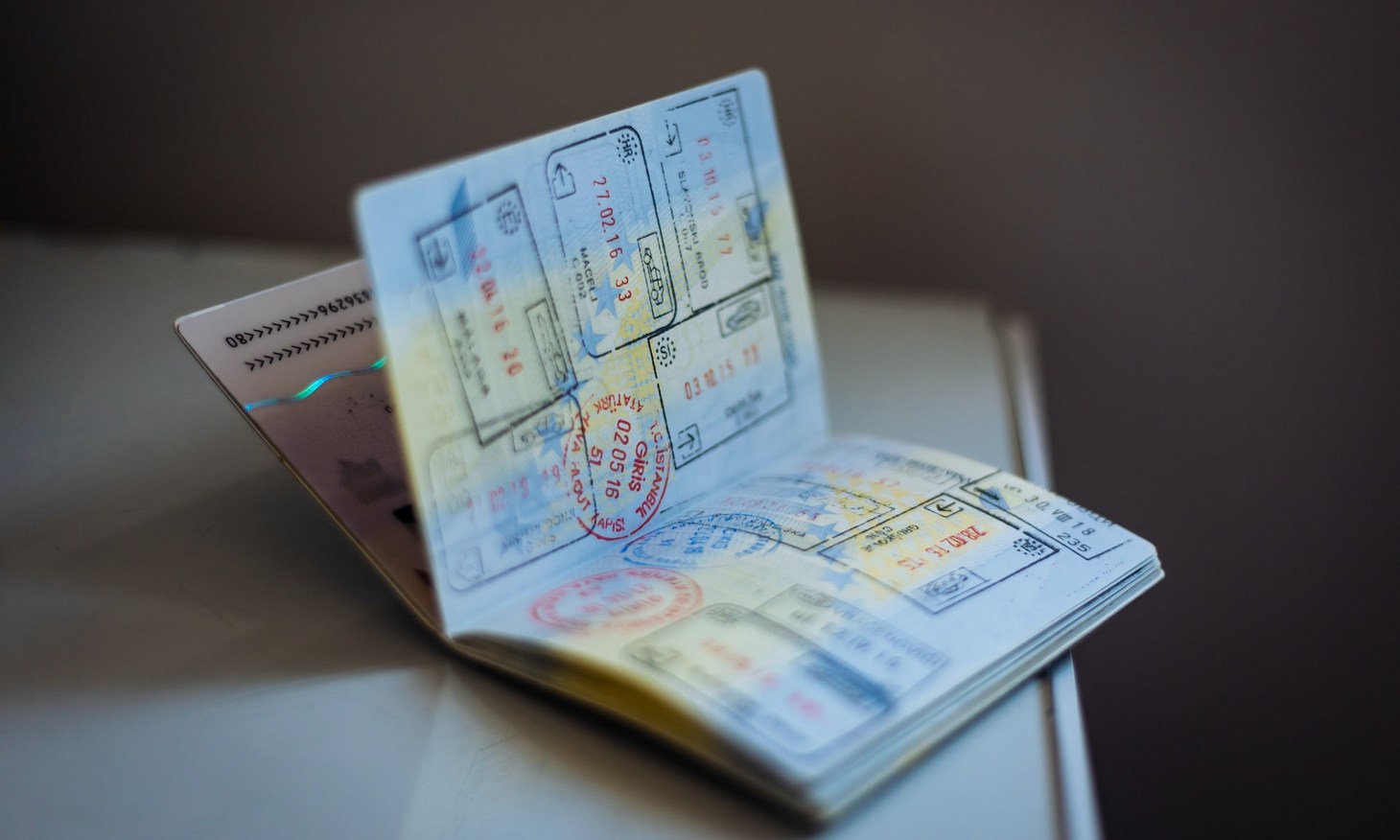 what are biographical pages of passport