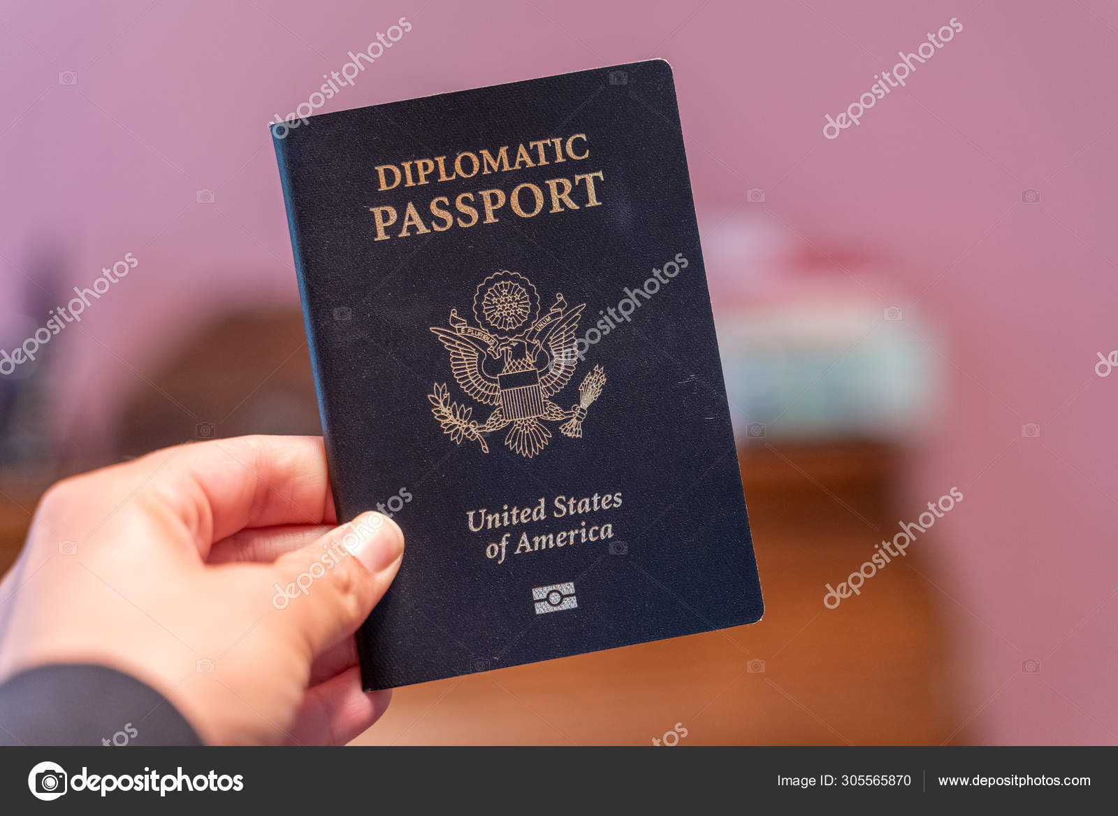 what are diplomatic passport