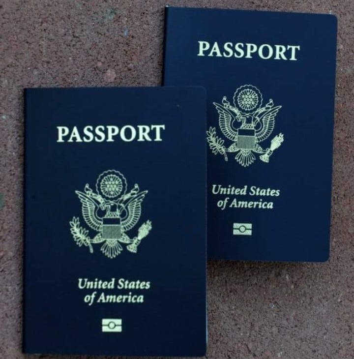 what color is a us passport