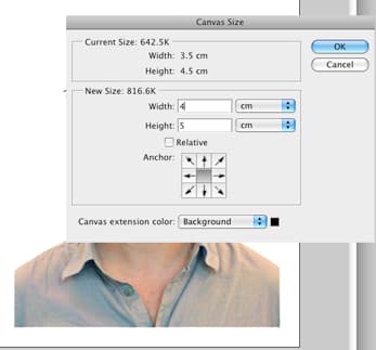 what dimensions are passport photos