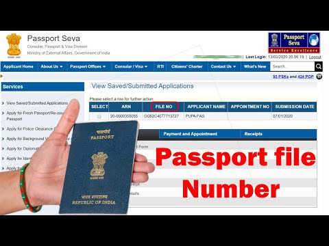 what is a file search for passport