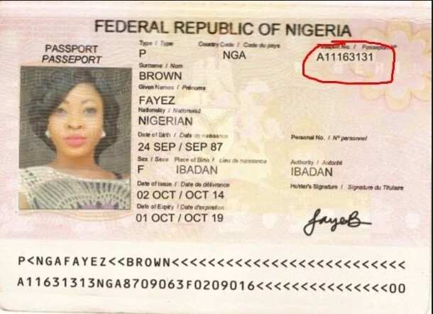 what is a passport number