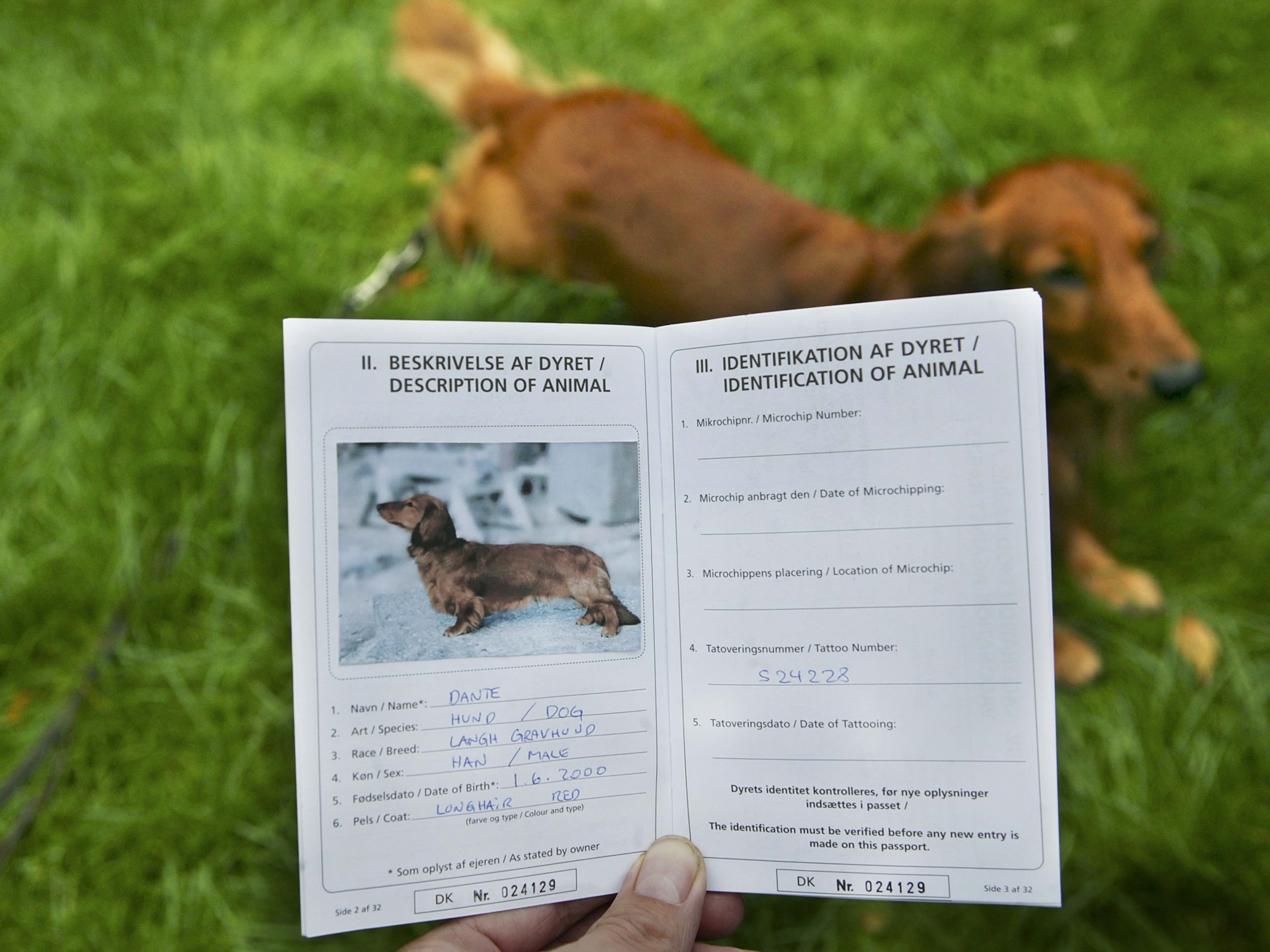 what is a pet passport