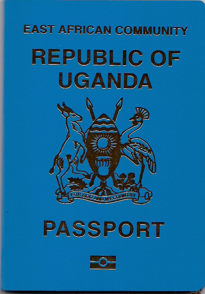 what is an ordinary passport