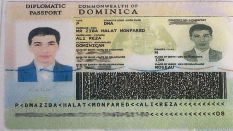 what is diplomatic passport