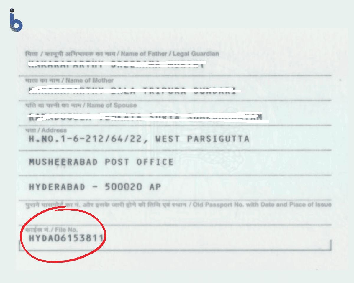 what is file no in indian passport