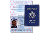 what is file search for passport