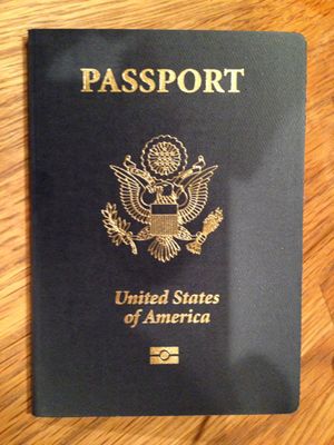 what is limited validity passport