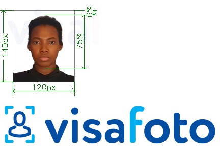 whats the size of a passport photo