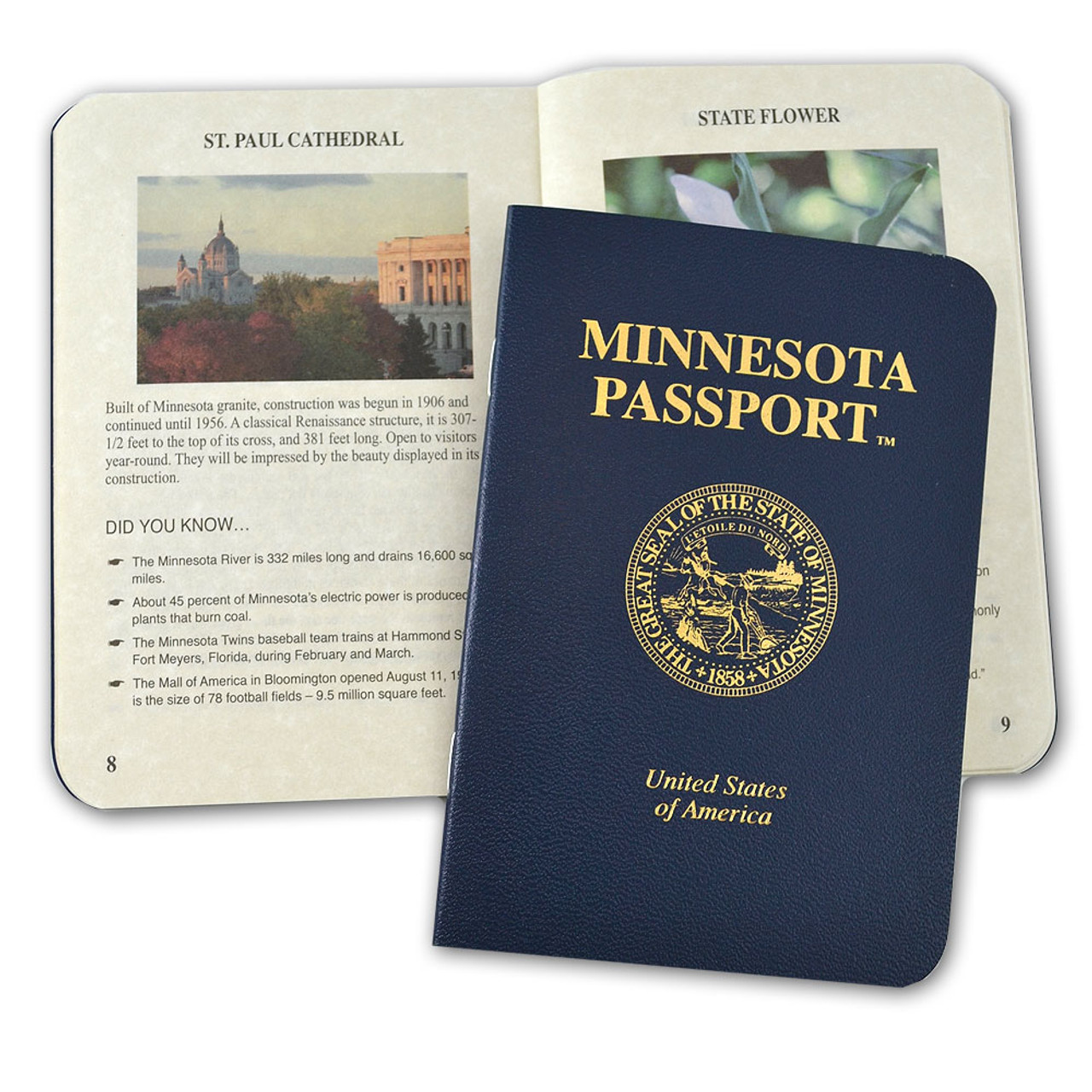 where to get a passport in mn