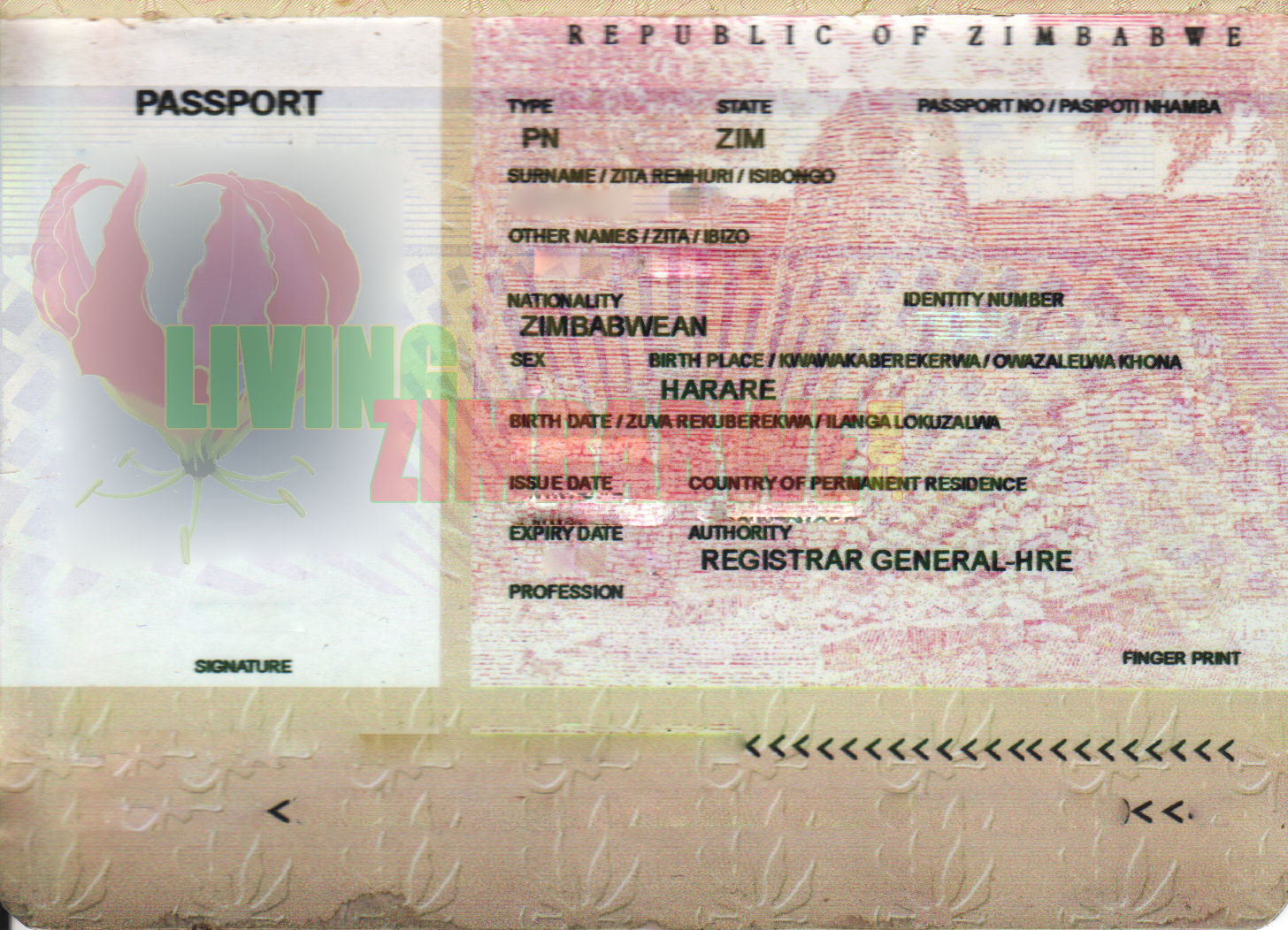 zimbabwe passport